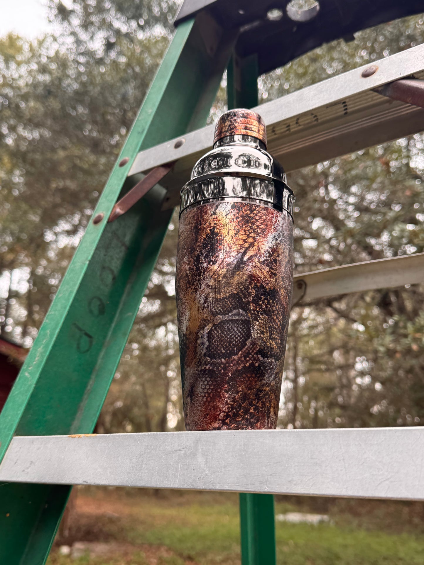 Wild Things Distressed Snakesin Cobbler Cocktail Shaker and Gift Set